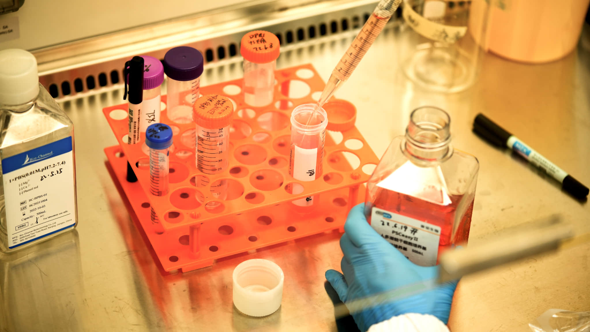 A close-up image of a scientist's hands conducting a meticulous experiment in our biotechnology lab. This represents the precise, hands-on research that goes into the development of every iKids-Growth supplement.