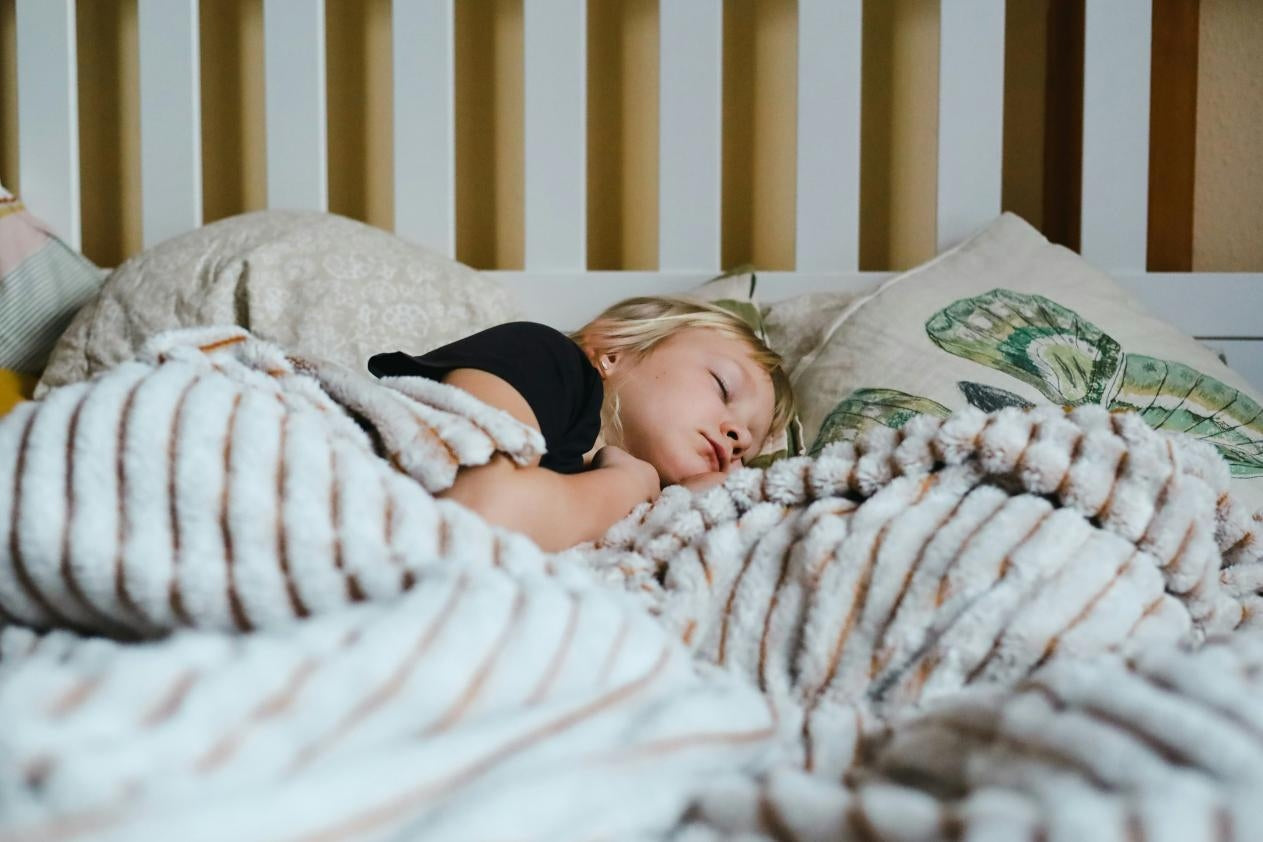 Sleep and the Brain’s Immune System Why Sleep Quality Matters