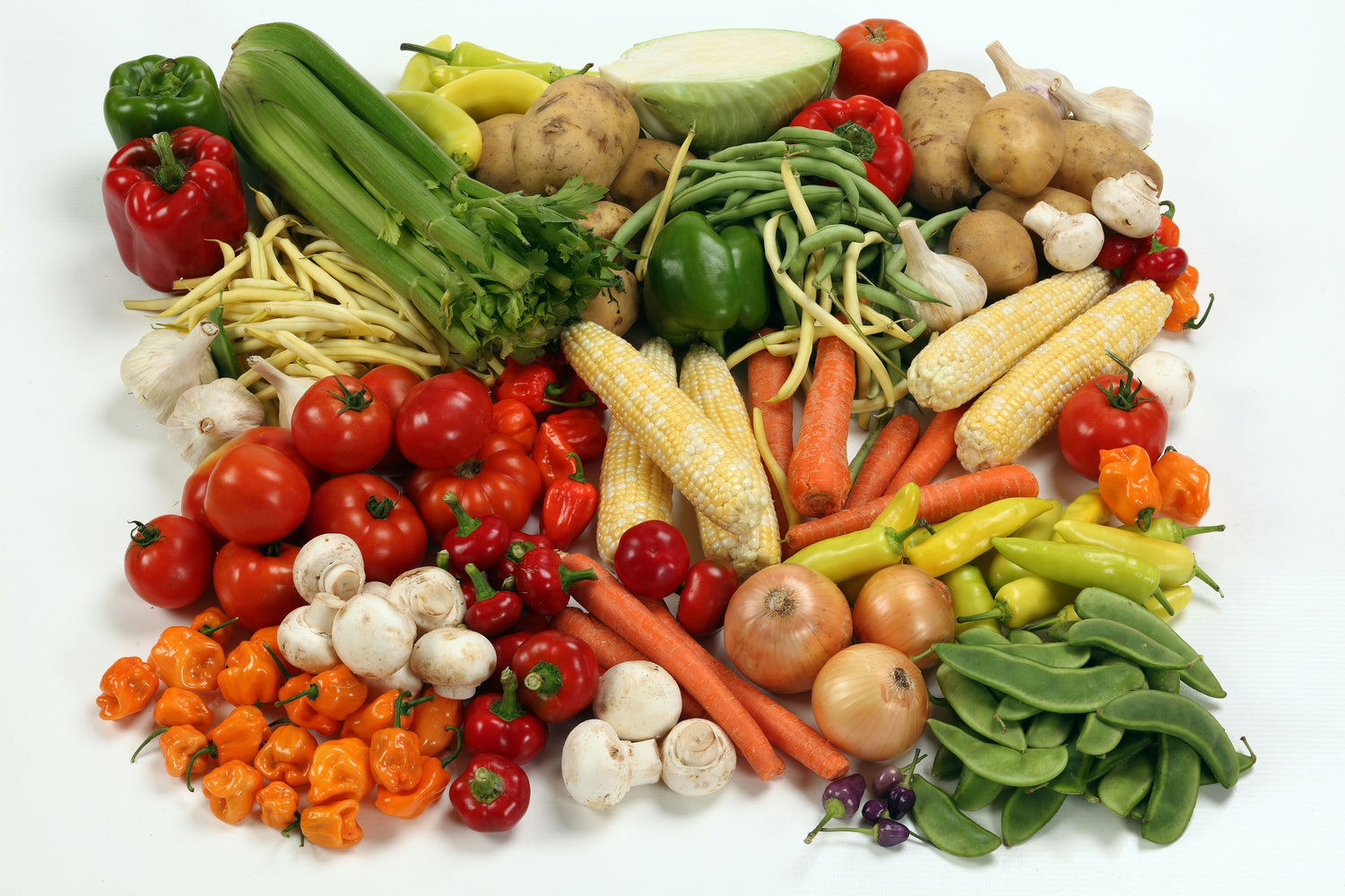 The Hidden 99% of Your Food: A Tour of Nutritional Dark Matter