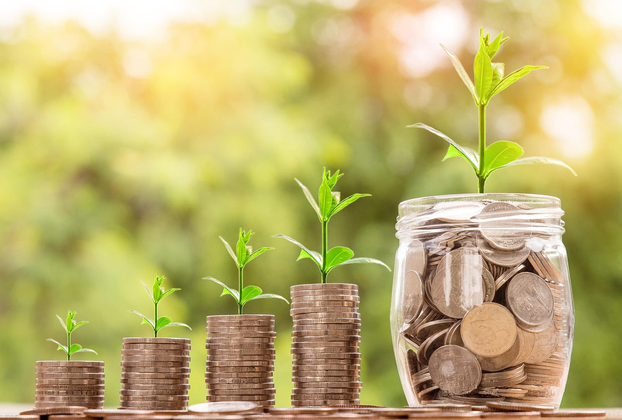 Taller, Richer? The Truth About Height and Earnings