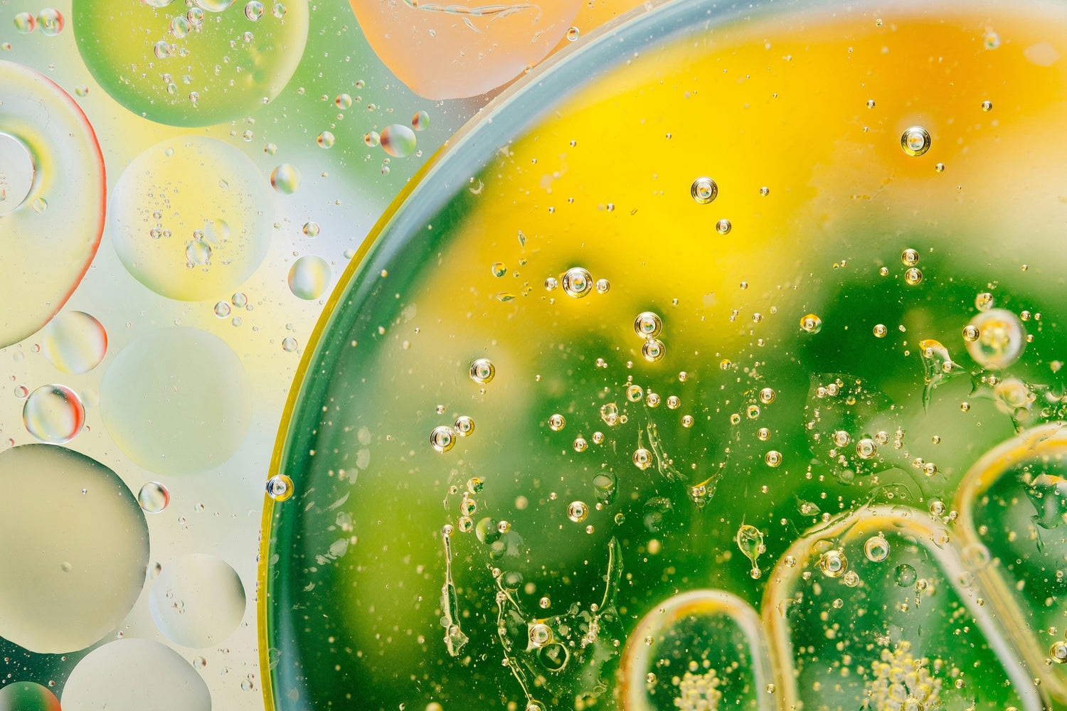 How Do You Screen 139,000 Molecules? A Beginner's Guide to Phenotypic Drug Screening