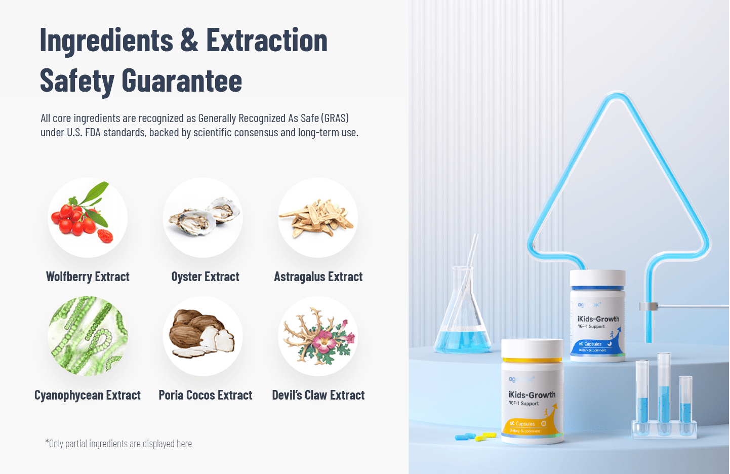 An infographic guaranteeing the ingredient and extraction safety for the iKids-Growth supplement. It highlights that all core ingredients are GRAS recognized under U.S. FDA standards, and displays natural extracts like Wolfberry, Oyster, and Astragalus.