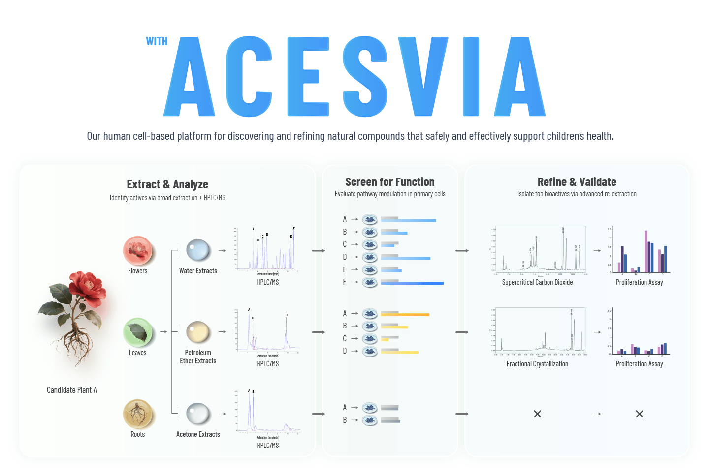 An infographic explaining the ACESVIA platform, our human cell-based technology for developing safe children's health supplements like iKids-Growth. The three-step process is shown: 1. Extract & Analyze natural compounds, 2. Screen for Function in primary cells, and 3. Refine & Validate the most effective ingredients.