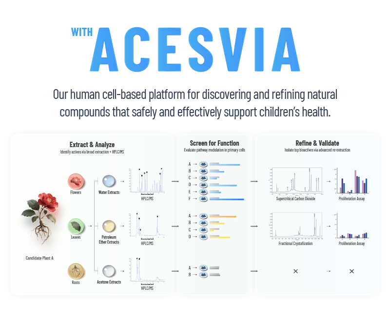 An infographic explaining the ACESVIA platform, our human cell-based technology for developing safe children's health supplements like iKids-Growth. The three-step process is shown: 1. Extract & Analyze natural compounds, 2. Screen for Function in primary cells, and 3. Refine & Validate the most effective ingredients.