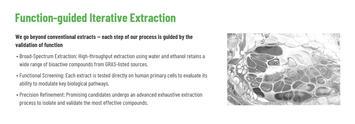 The principle of 'Function-guided Iterative Extraction' used for our supplements. Unlike conventional methods, our process is guided by functional screening on human cells at each step to ensure real, measurable biological effects.