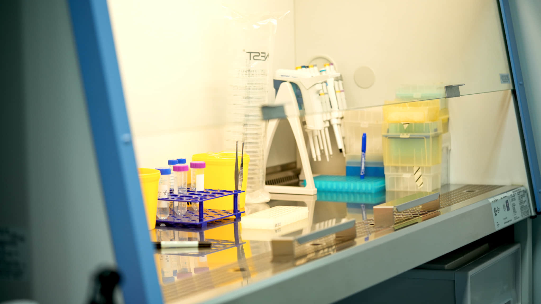 A view inside one of agebox's state-of-the-art biotechnology labs, showing a sterile workstation with precision equipment like micropipettes and test tubes. This is where the scientific research and development for our iKids-Growth supplement takes place.