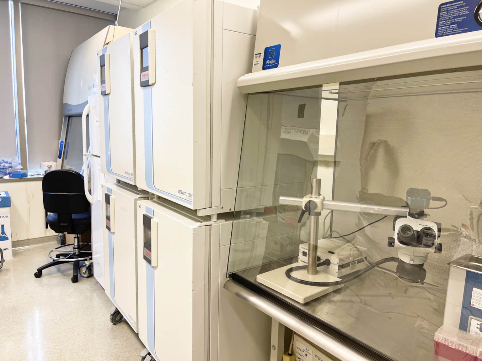 A photo of the state-of-the-art agebox research lab, featuring a bank of scientific incubators and a biosafety cabinet with a microscope. This is the advanced environment where we ensure the quality and efficacy of the iKids-Growth supplement.